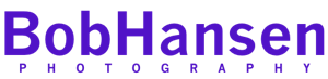 BobHansenlogo